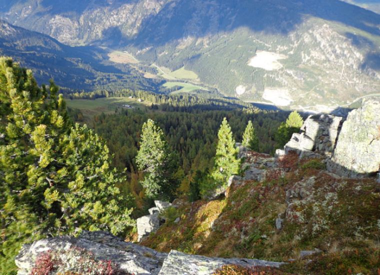 Sommer - Gut Neusess