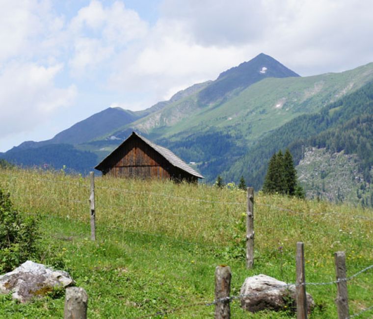 Sommer - Gut Neusess
