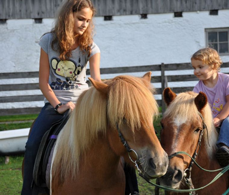 Reiten beim Esslgut
