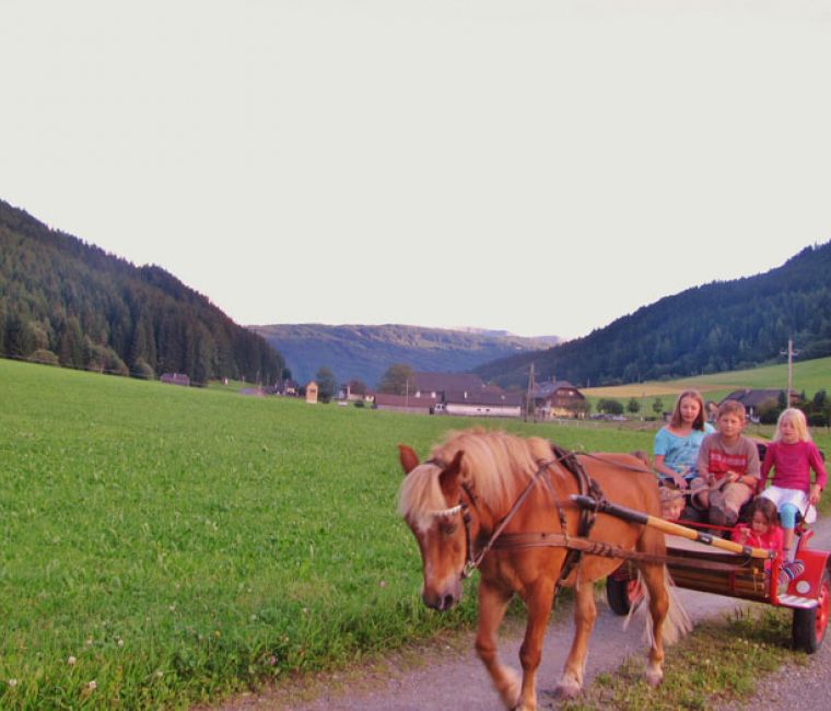 Sommer - Gut Neusess