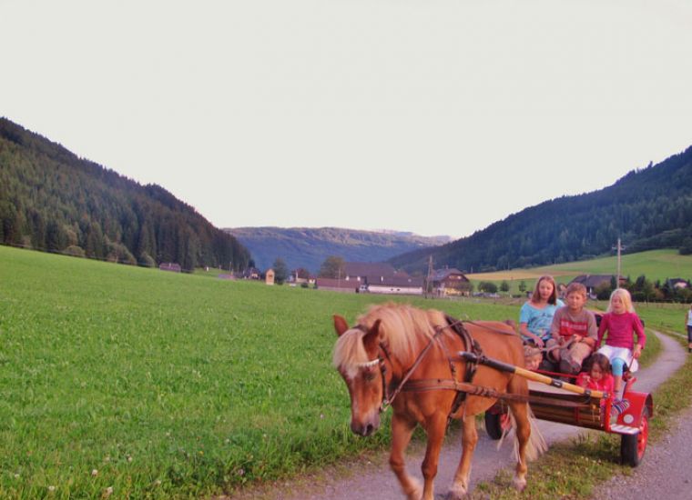 Sommer - Gut Neusess