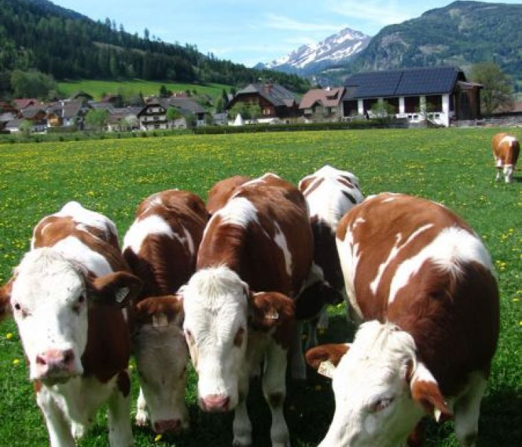 Gruppenkuscheln