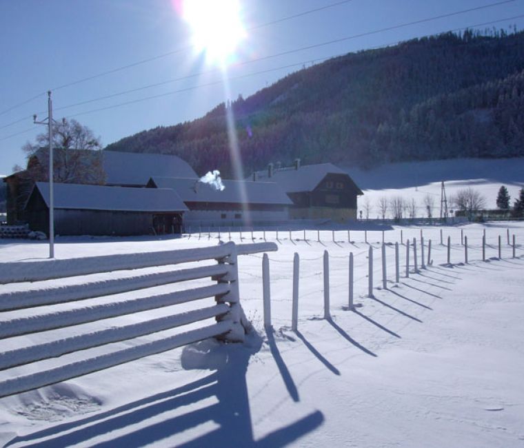 Winter - Gut Neusess