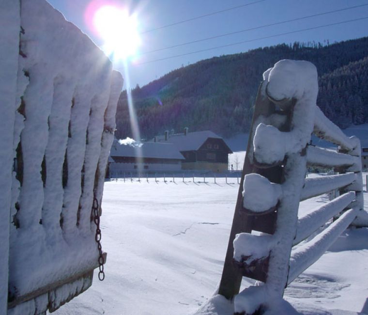 Winter - Gut Neusess