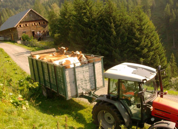 Sommer - Gut Neusess