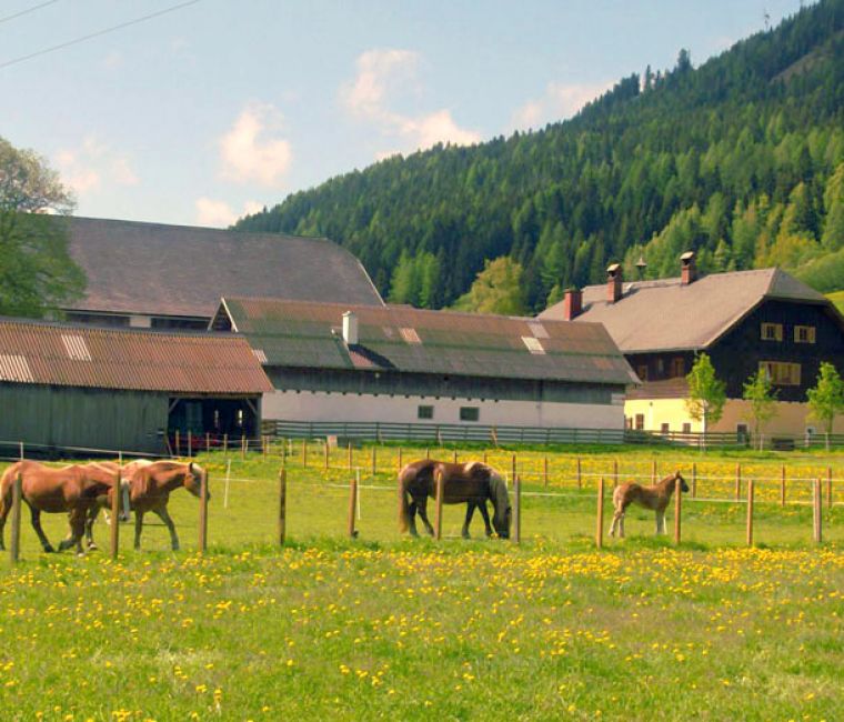 Hof & Familie